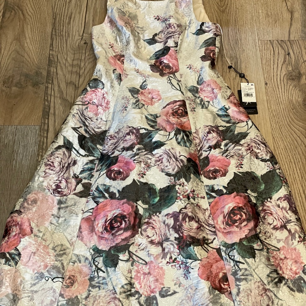 NWT Adrianna Papell Floral Dress in Vintage Jacquard Size 4